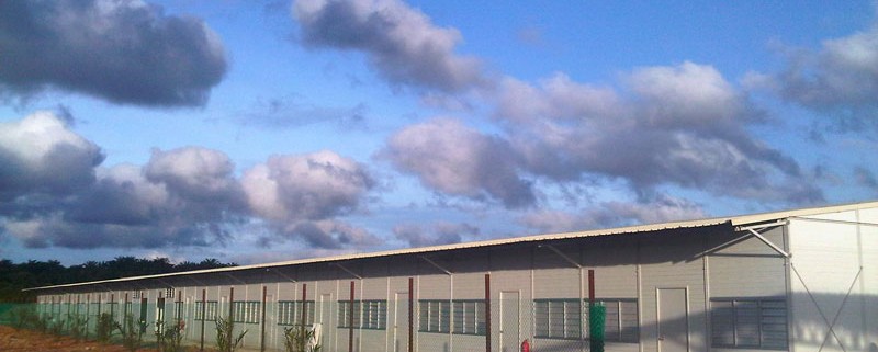 workers_camp_4b