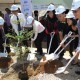 planting