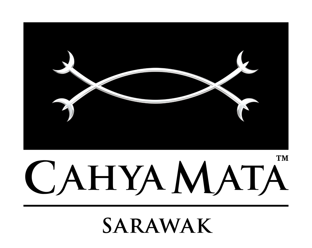 CMS logo-01 (1)