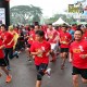 cms-run