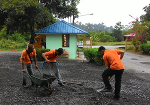 CMS Pavement Tech