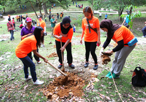 Tree Planting by CMS