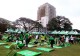 Milo Breakfast Run