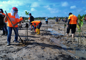Planting trees to save the fragile Ecosystem