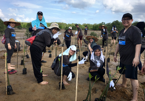 CMS joins Fuji Xerox for Mangrove Tree Planting