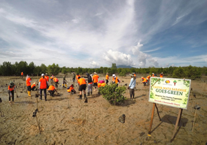 CMS plants 500 Mangrove Saplings at Kuching Wetlands National Park