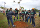 Pledge and Plant a Tree!