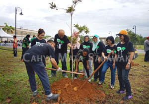 Pledge and Plant a Tree!
