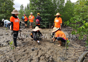 Sustaining the wetlands
